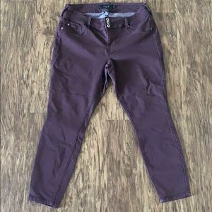 Maroon Torrid Denim Jeans 18R